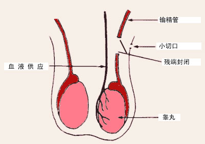 ���У�˵��Ҳ����