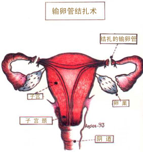 ���У�˵��Ҳ����