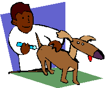 /狗咬人,人咬人/狂犬疫苗/狂躁型和麻痹/发低热、思睡、食欲减退、疲乏、恐慌、烦躁/狂犬病病毒/