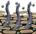 ���޼�������Ҳ����ӵ�� 