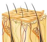 ���޼�������Ҳ����ӵ�� 