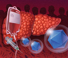 ���͸�����������Ⱦ��