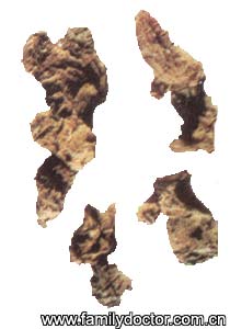 �ƾ�RhizomaPoLygonati/�� ��  Rhizoma PoLygonati 