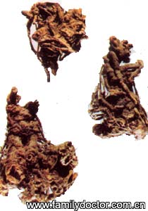 ޻��RhizomaLigustici/޻ ��  Rhizoma Ligustici 