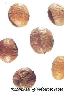 �����FructusToosendan/�����  Fructus Toosendan 