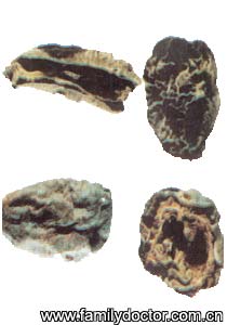 ľ��FructusChaenomelisSpeciosae/ľ ��  Fructus Chaenomelis Speciosae 