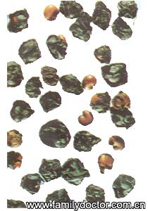 ��ζ��FructusSchisandraeChinensis/��ζ��  Fructus Schisandrae Chinensis 