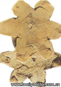 ���ٺ�ExocarpiumCitriGrandis/���ٺ�  Exocarpium Citri Grandis 