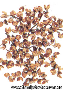 ����PericarpiumZanthoxyli/�� ��  Pericarpium Zanthoxyli 