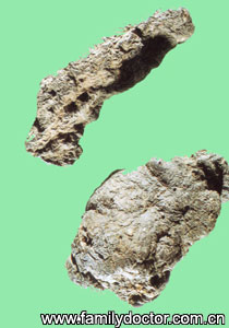 ����Polyporus/�� �� Polyporus 