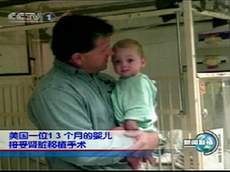 ����13���µ�Ӥ������������ֲ����