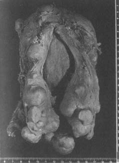 �ӹ�����