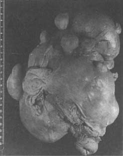 �ӹ�����