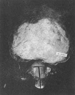 �ӹ�����