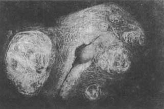 �ӹ�����