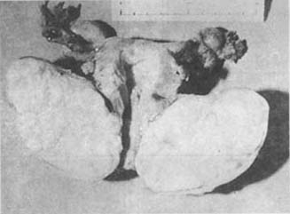 �ӹ�����