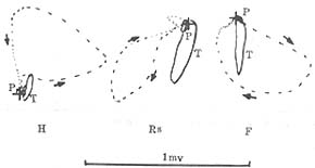 �ļ�����