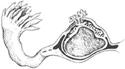 ���ѹ�����