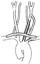 �෢�Դ�����