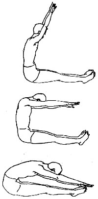 ������͹