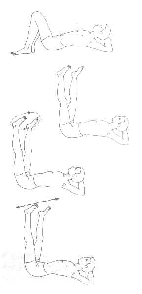 ������͹