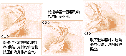 �����ױ��� 