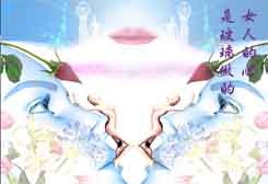 �ҿɲ����Լ޸���(ͼ)