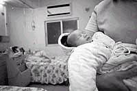 �㶫˫��̥�Թ�Ӥ��������(ͼ)