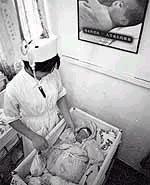 �㶫˫��̥�Թ�Ӥ��������(ͼ)