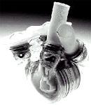 �������������൮��(ͼ)