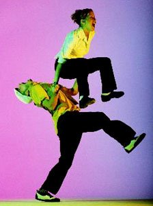 �԰��������(ͼ)