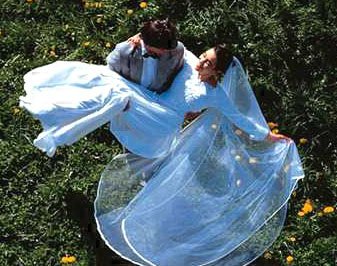 放荡的新娘(图)