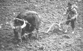 艾滋病人在农村//