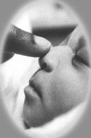 ����������ɱ��//