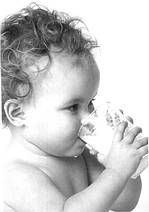 Ӥ��ι��ʮҪ��//