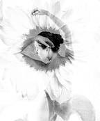 ��Ϊ��ǰ�ڽ����ۺ���//