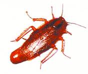 ���ǰ�󳹵����!//