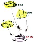 ���ǰ�󳹵����!//