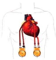 �߽��˹�����//