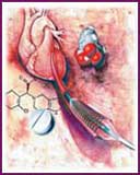 ���Թ����ۺ���������//