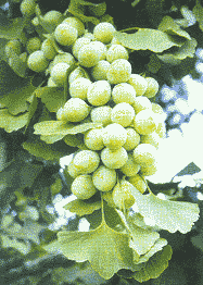 �������������//