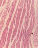 ϸ���ļ�����������˥�ٴ���չ//