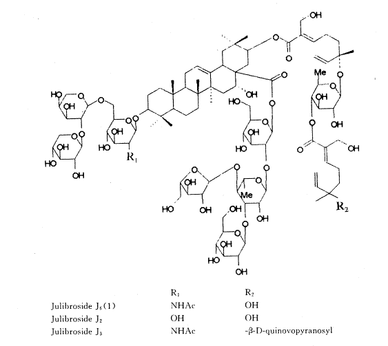 81.gif (11130 bytes)