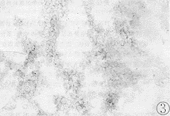 376-t2.gif (9136 bytes)