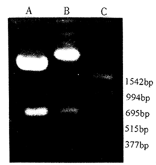 1403.gif (5597 bytes)