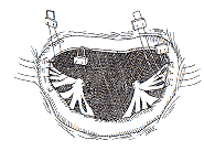 drjy6-22.gif (12024 bytes)