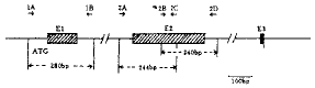 t901.gif (1497 bytes)