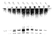 t905.gif (3302 bytes)