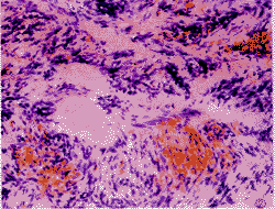 t5802.gif (18870 bytes)