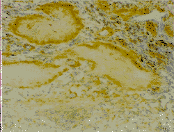 t5806.gif (16682 bytes)